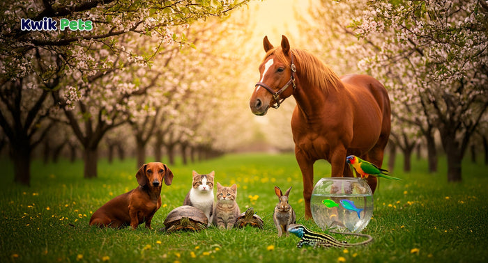 September: Animal Pain Awareness Month