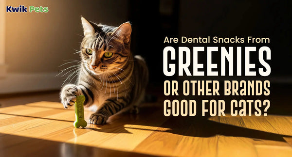Are Dental Snacks From Greenies Or Other Brands Good For Cats