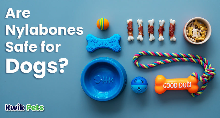 Are Nylabones Safe for Dogs? Everything You Need to Know