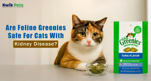 Are Feline Greenies Safe For Cats With Kidney Disease?