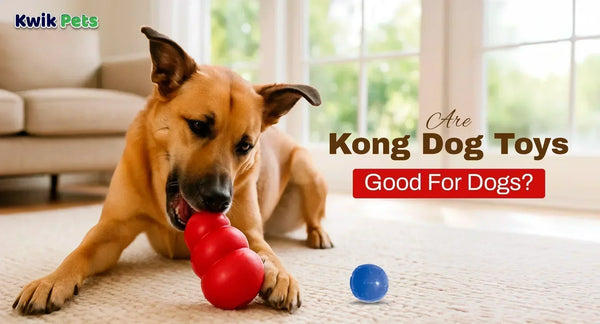 Are KONG Dog Toys Good For Dogs