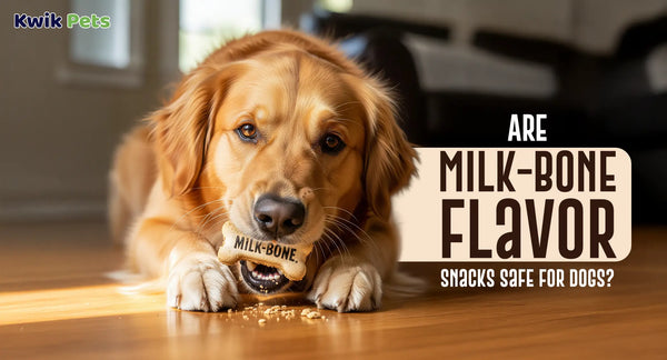 Are Milk-Bone Flavor Snacks Safe for Dogs