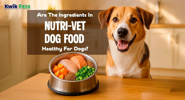 Are The Ingredients In Nutri-Vet Dog Food Healthy For Dogs