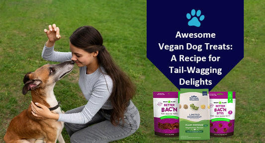 Vegan Dog Treats