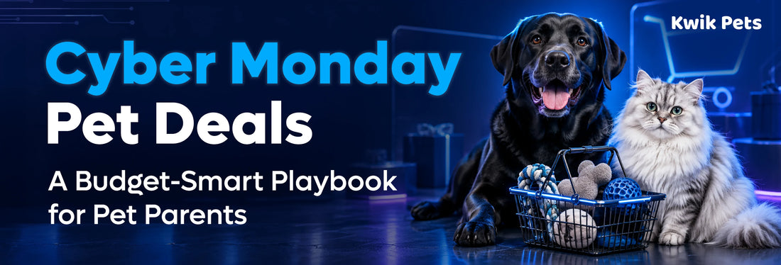 Cyber Monday 2026