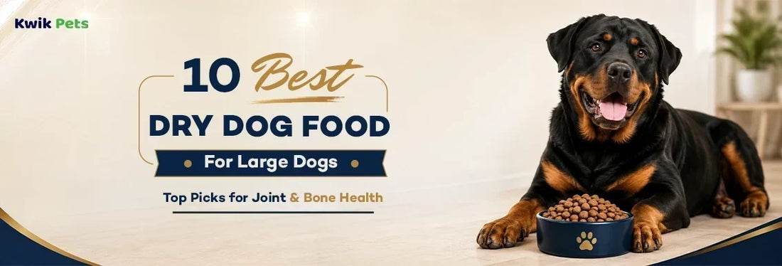best dry dog food for large dogs