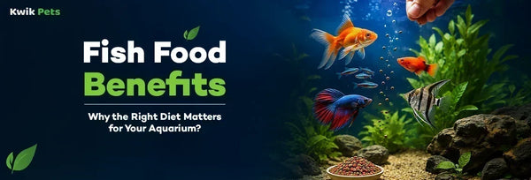 fish food benefits