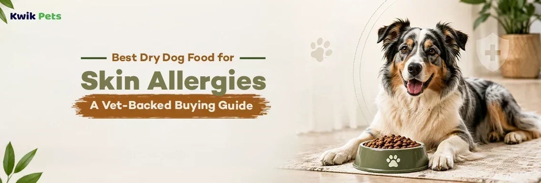 best dry dog food for skin allergies