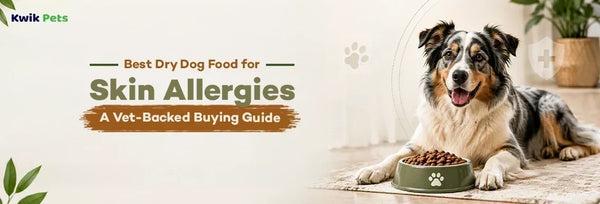 best dry dog food for skin allergies