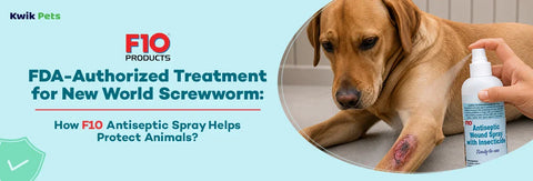 FDA-Authorized Treatment for New World Screwworm: How F10 Antiseptic Spray Helps Protect Animals?