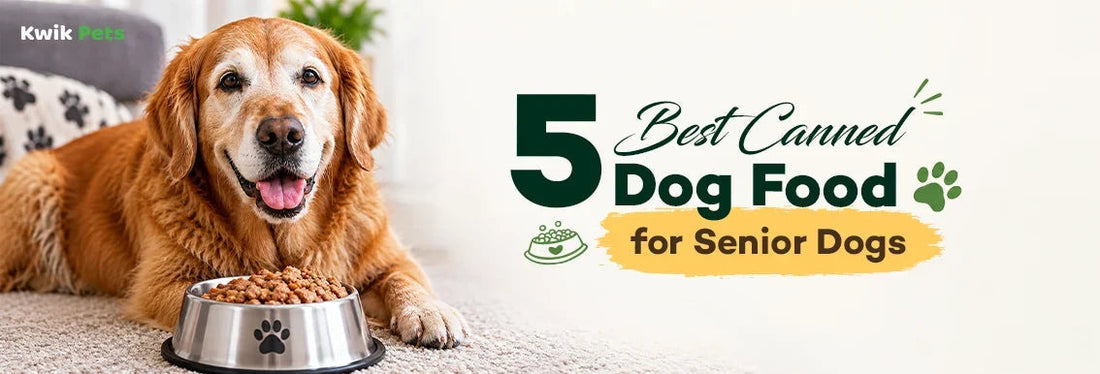 best canned dog food for senior dogs
