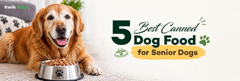 5 Best Canned Dog Food for Senior Dogs: Top Vet-Recommended Picks