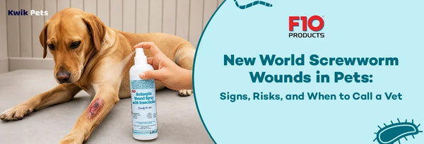 new world screwworm wound