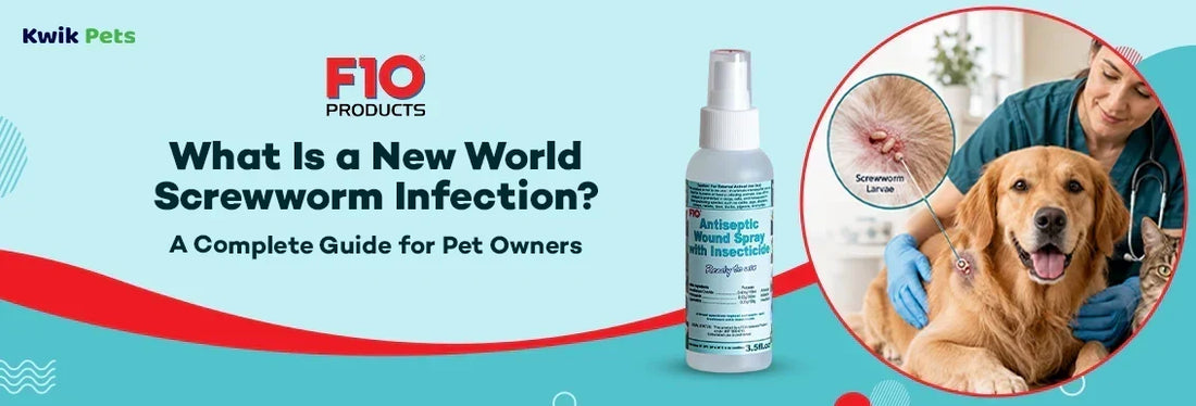 What Is a New World Screwworm Infection? A Complete Guide for Pet Owners