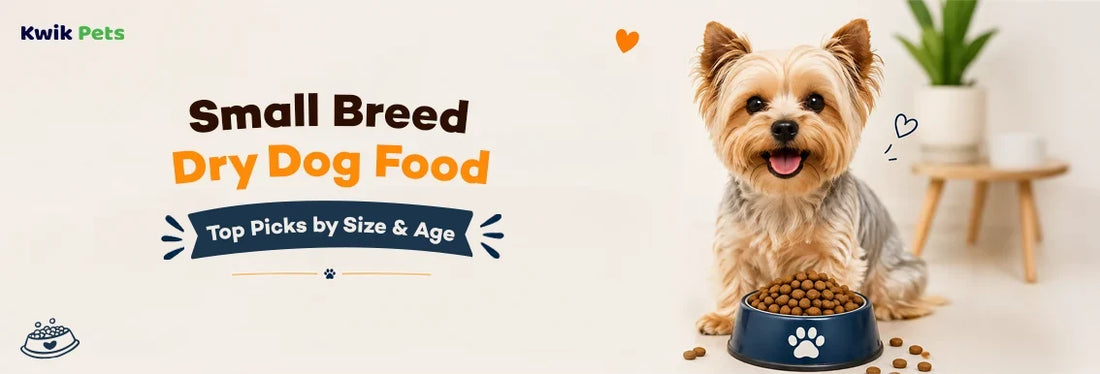 small breed dry dog food