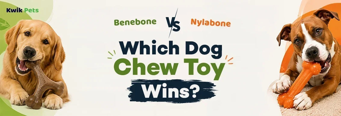 benebone vs nylabone