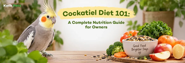 cockatiel diet