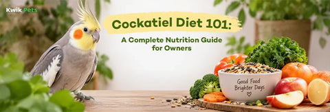 Cockatiel Diet 101 : A Complete Nutrition Guide for Owners