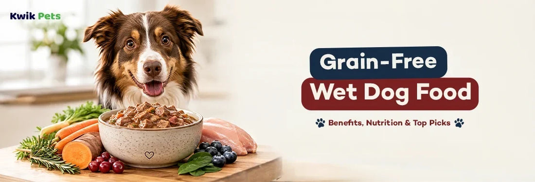 Grain-Free Wet Dog Food