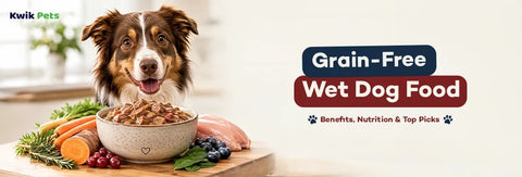 Grain-Free Wet Dog Food: Benefits, Nutrition & Top Picks