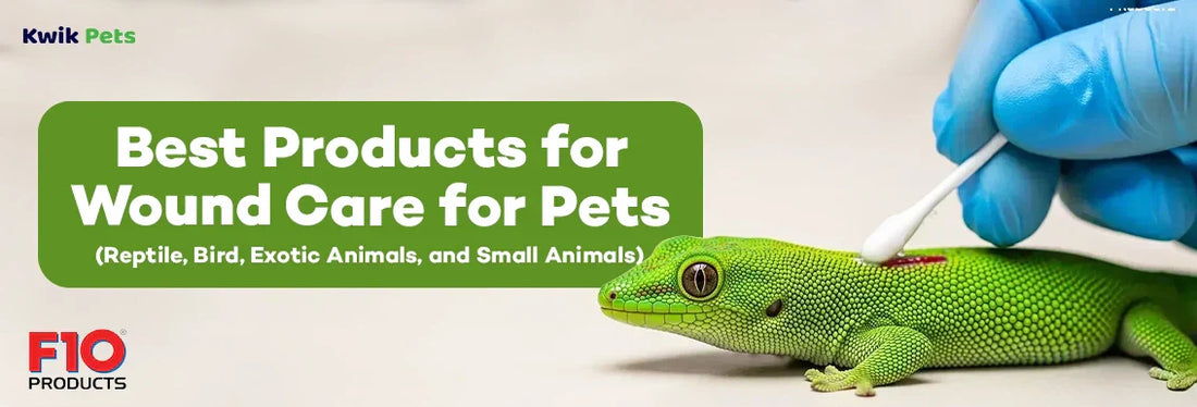 pet wound care