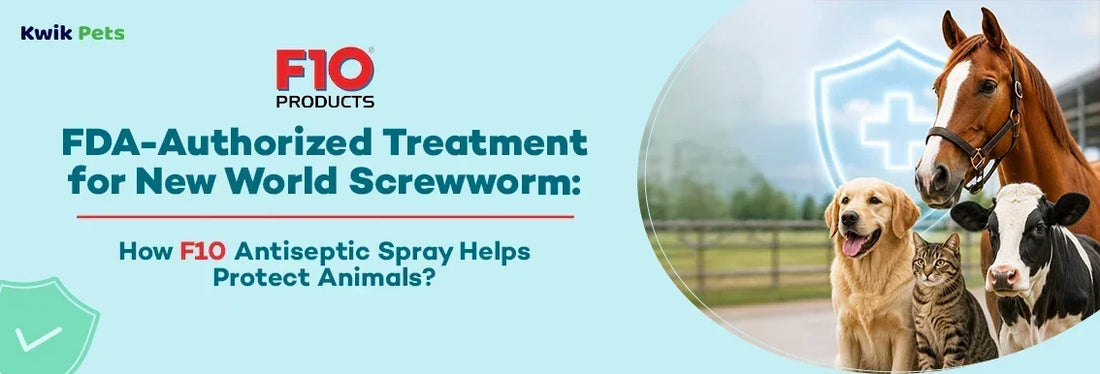 new world screwworm symptoms