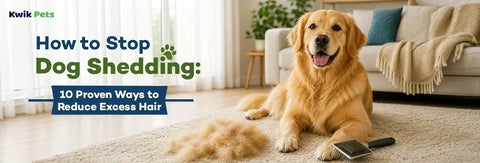 How to Stop Dog Shedding: 10 Proven Ways to Reduce Excess Hair