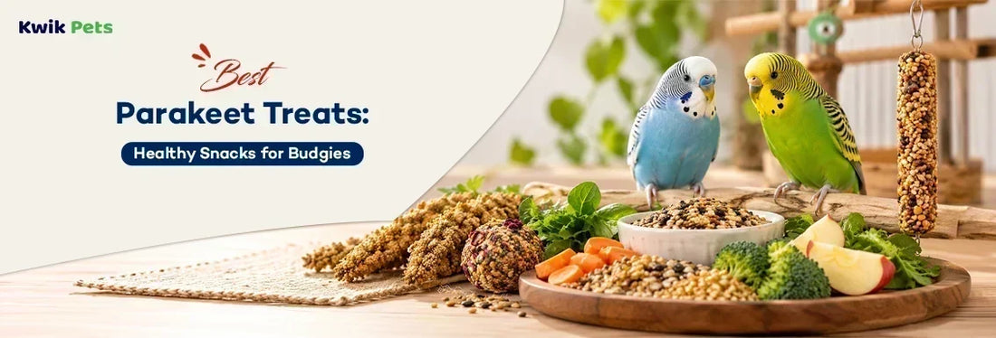 parakeet treats