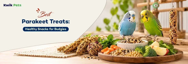 parakeet treats