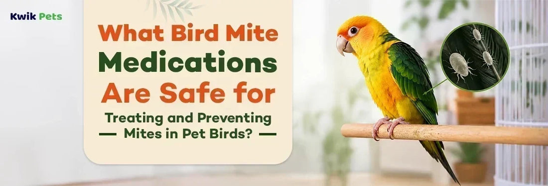 bird mite medication
