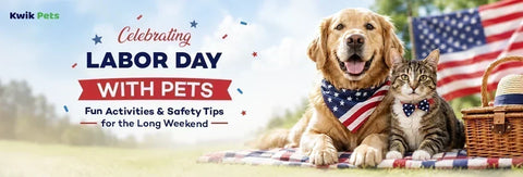 Celebrating Labor Day with Pets : Fun Activities & Safety Tips for the Long Weekend