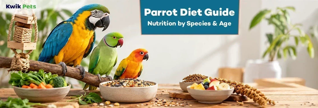 parrot diet