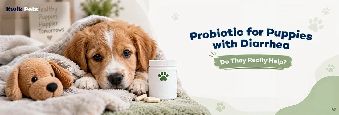 probiotic for puppies with diarrhea