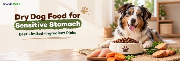 Dry Dog Food for Sensitive Stomach
