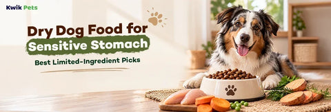 Dry Dog Food for Sensitive Stomach: Best Limited-Ingredient Picks
