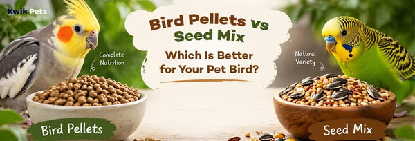bird pellets