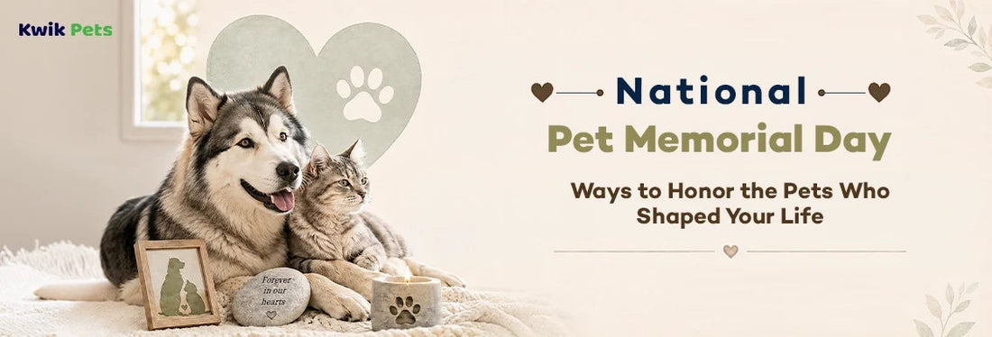National Pet Memorial Day
