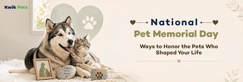 National Pet Memorial Day: Ways to Honor the Pets Who Shaped Your Life