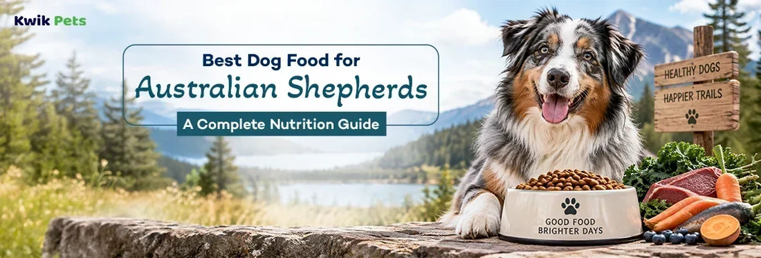australian shepherd dog food