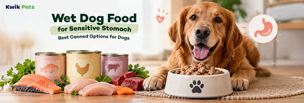 Wet Dog Food for Sensitive Stomach