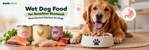 Wet Dog Food for Sensitive Stomach: Best Canned Options for Dogs