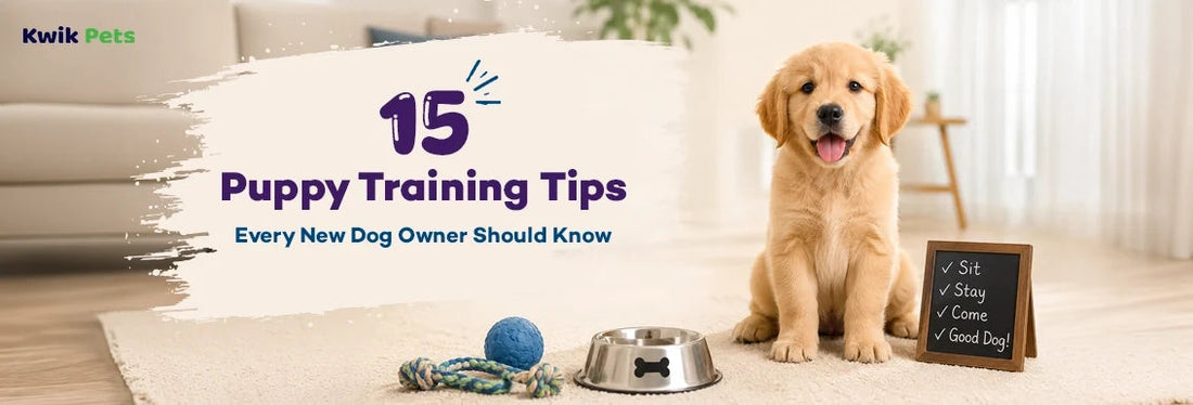 puppy training tips