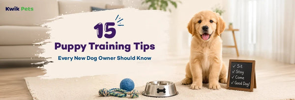 puppy training tips
