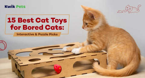15 Best Cat Toys for Bored Cats: Interactive & Puzzle Picks (2026)