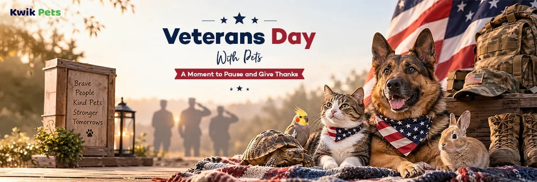 Veterans Day