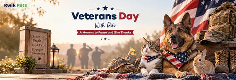 Veterans Day With Pets : A Moment to Pause and Give Thanks