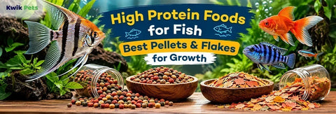 High Protein Foods for Fish : Best Pellets & Flakes for Growth