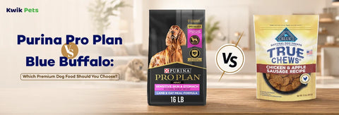 Purina Pro Plan vs Blue Buffalo: Which Premium Dog Food Should You Choose?