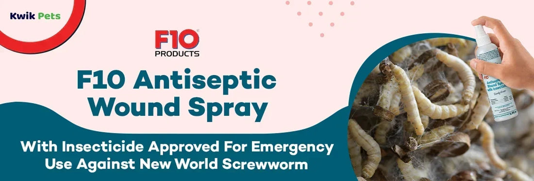 new world screwworm