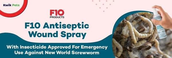 new world screwworm